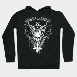 Limp Bizkit metal Hoodie